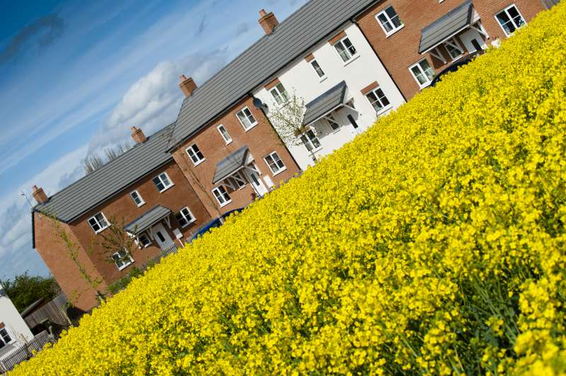 Welcome  to Midlands Rural